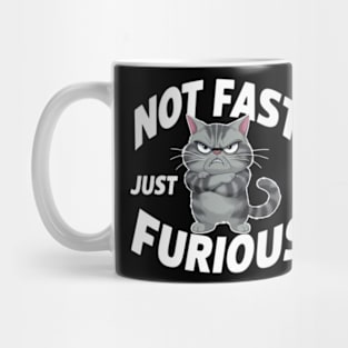 The image features a grumpy-looking cat with the text “NOT FAST JUST FURIOUS” surrounding it (2) Mug